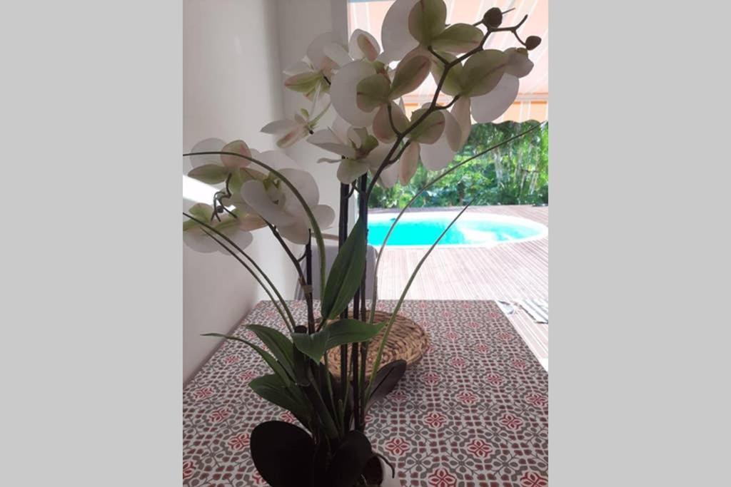 Les Orchidees Apartment Petit-Bourg Luaran gambar
